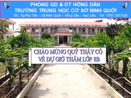 Bài giảng môn Địa lí Lớp 8 - Bài 11: Dân cư và đặc điểm kinh tế khu vực Nam Á - Trường THCS Ninh Quới