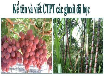 Bài giảng môn Hóa học Lớp 9 - Tiết 63, Bài 52: Tinh bột-Xenlulozơ