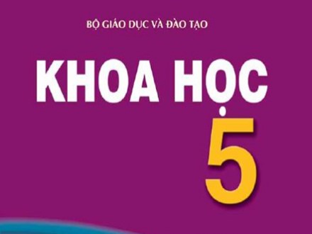 Bài giảng môn Khoa học Lớp 5 - Bài: Phòng tránh bị xâm hại