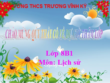 Bài giảng môn Lịch sử Lớp 8 - Bài 11: Các nước Đông Nam Á cuối thế kỉ XIX-đầu thế kỉ XX