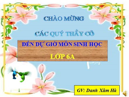 Bài giảng môn Sinh học Lớp 6 - Bài 18: Biến dạng của thân - Danh Xâm Hà