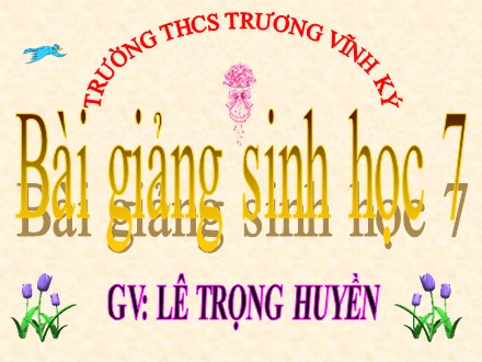 Bài giảng môn Sinh học Lớp 7 - Bài 21: Đặc điểm chung và vai trò của ngành thân mềm - Lê Trọng Huyền