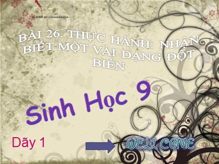 Bài giảng môn Sinh học Lớp 9 - Bài 26: Thực hành: Nhận biết một vài dạng đột biến