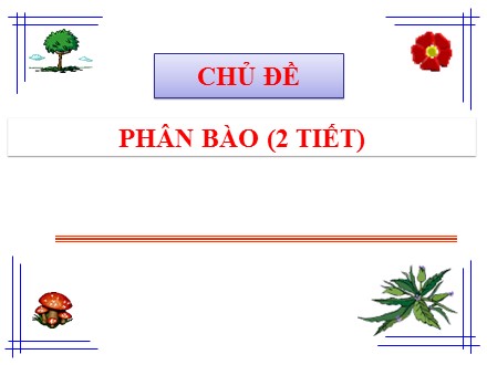 Bài giảng môn Sinh học Lớp 9 - Bài 9: Nguyên phân