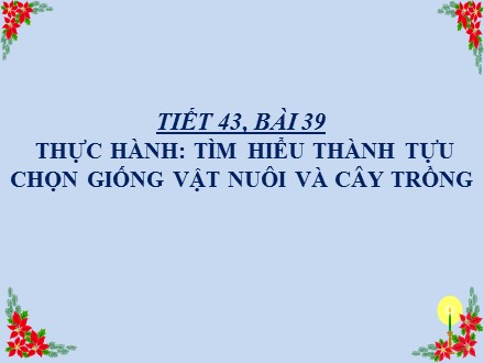 Bài giảng môn Sinh học Lớp 9 - Tiết 43, Bài 39: Thực hành: Tìm hiểu thành tựu chọn giống vật nuôi và cây trồng