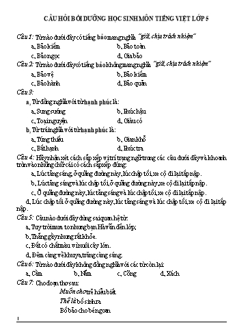 Câu hỏi bồi dưỡng học sinh môn Tiếng Việt Lớp 5