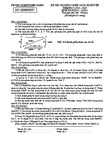 Đề thi chọn học sinh giỏi cấp huyện môn Hóa học Lớp 9 - Năm học 2015-2016 - Phòng GD&ĐT Bình Giang (Có đáp án)
