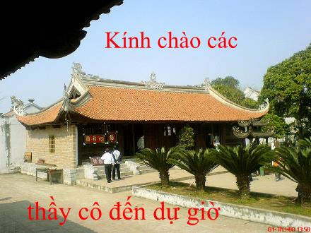 Bài giảng Lịch sử 7 - Tiết 21, Bài 13: Nước đại Việt ở thế kỉ XIII