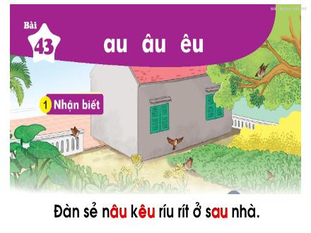 Bài giảng Tiếng Việt Khối 1 (KNTT) - Bài 43: Au, âu, êu