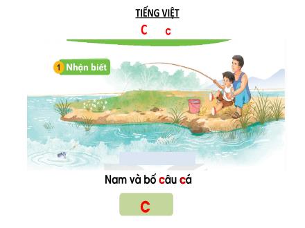 Bài giảng Tiếng Việt Lớp 1 - Bài 3: C c