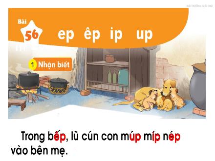 Bài giảng Tiếng Việt Lớp 1 - Bài 56: Ep, êp, ip, up (Tiết 1)