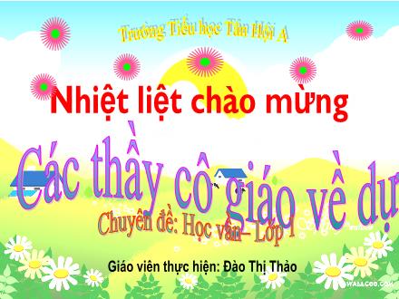 Bài giảng Tiếng Việt Lớp 1 (Cánh diều) - Bài 15: Ôn tập Học vần - Đào Thị Thảo