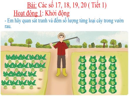 Bài giảng Toán Lớp 1 (Cánh diều) - Bài: Các số 17, 18, 19, 20 (Tiết 1)