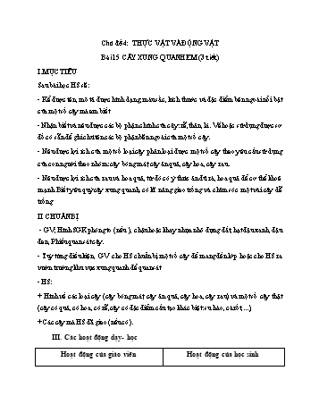 Giáo án Tự nhiên xã hội Lớp 1 (Kết nối tri thức) - Bài 15: Cây xung quanh em (3 tiết)