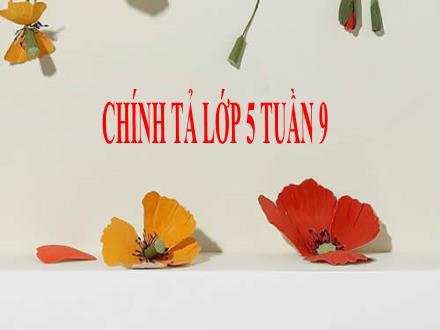 Bài giảng Chính tả Lớp 5 - Nhớ – viết: Tiếng đàn ba-la-lai-ca trên Sông Đà (Quang Huy)