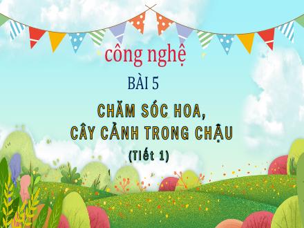 Bài giảng Công nghệ Lớp 4 (Chân trời sáng tạo) - Bài 5: Chăm sóc hoa, cây cảnh trong chậu (Tiết 1)