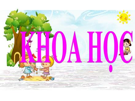 Bài giảng Khoa học Lớp 4 - Tuần 7, Bài: Phòng bệnh béo phì - Năm học 2021-2022