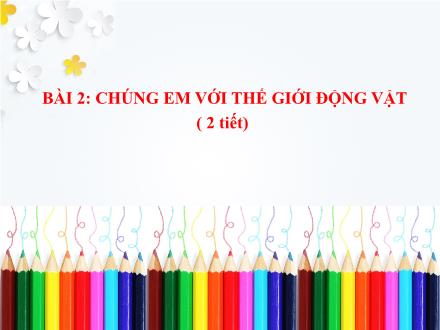 Bài giảng Mĩ thuật Lớp 4 - Bài 2: Chúng em với thế giới động vật