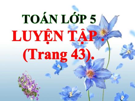 Bài giảng Toán Lớp 5 - Tuần 8, Bài: Luyện tập (Trang 43)