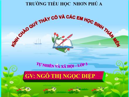 Bài giảng Tự nhiên và Xã hội Lớp 3 (Chân trời sáng tạo) - Bài: Hoa và quả - Năm học 2025-2025 - Ngô Thị Ngọc Diệp